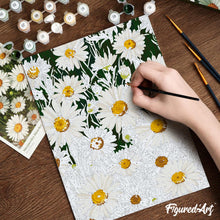 Afbeelding in Gallery-weergave laden, Cadeauset Schilderen op Nummers - Witte Madeliefjes