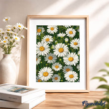 Afbeelding in Gallery-weergave laden, Cadeauset Schilderen op Nummers - Witte Madeliefjes