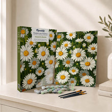 Afbeelding in Gallery-weergave laden, Cadeauset Schilderen op Nummers - Witte Madeliefjes