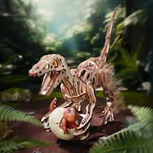 Afbeelding in Gallery-weergave laden, 3D Puzzel - Velociraptor Figured'Art
