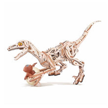 Afbeelding in Gallery-weergave laden, 3D Puzzel - Velociraptor