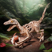 Afbeelding in Gallery-weergave laden, 3D Puzzel - Velociraptor