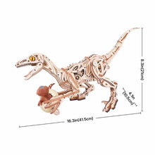 Afbeelding in Gallery-weergave laden, 3D Puzzel - Velociraptor