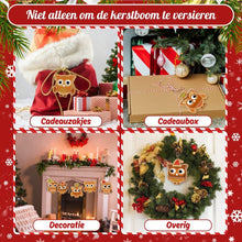 Afbeelding in Gallery-weergave laden, Kerstornamenten Schilderen op Nummers - Kit Kerstbos Vrienden