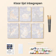 Afbeelding in Gallery-weergave laden, Mini Schilderen op Nummer 15x20cm (6 stuks) - Sterrennachtkatten