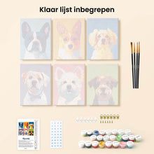 Afbeelding in Gallery-weergave laden, Mini Schilderen op Nummer 15x20cm (6 stuks) - Moderne Hondportretten 1