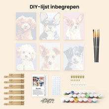 Afbeelding in Gallery-weergave laden, Mini Schilderen op Nummer 15x20cm (6 stuks) - Moderne Hondportretten 2