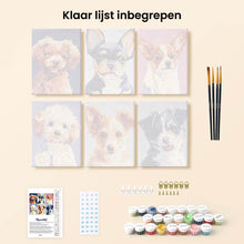 Afbeelding in Gallery-weergave laden, Mini Schilderen op Nummer 15x20cm (6 stuks) - Moderne Hondportretten 2