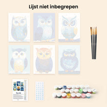 Afbeelding in Gallery-weergave laden, Mini Schilderen op Nummer 15x20cm (6 stuks) - Kleurrijke Nachtwacht