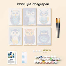 Afbeelding in Gallery-weergave laden, Mini Schilderen op Nummer 15x20cm (6 stuks) - Kleurrijke Nachtwacht