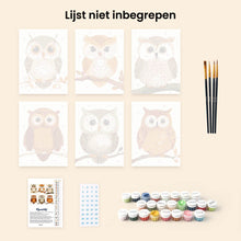 Afbeelding in Gallery-weergave laden, Mini Schilderen op Nummer 15x20cm (6 stuks) - Boswachters