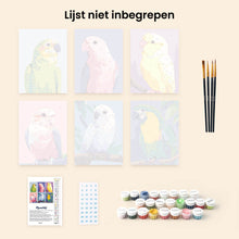 Afbeelding in Gallery-weergave laden, Mini Schilderen op Nummer 15x20cm (6 stuks) - Jungle Melodie
