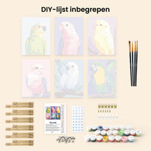 Afbeelding in Gallery-weergave laden, Mini Schilderen op Nummer 15x20cm (6 stuks) - Jungle Melodie