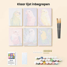 Afbeelding in Gallery-weergave laden, Mini Schilderen op Nummer 15x20cm (6 stuks) - Jungle Melodie