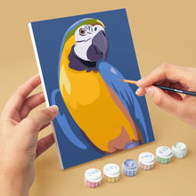 Afbeelding in Gallery-weergave laden, Mini Schilderen op Nummer 15x20cm (6 stuks) - Tropische Veren