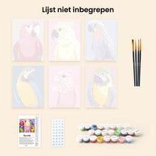 Afbeelding in Gallery-weergave laden, Mini Schilderen op Nummer 15x20cm (6 stuks) - Tropische Veren