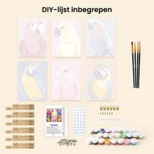 Afbeelding in Gallery-weergave laden, Mini Schilderen op Nummer 15x20cm (6 stuks) - Tropische Veren