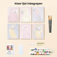 Afbeelding in Gallery-weergave laden, Mini Schilderen op Nummer 15x20cm (6 stuks) - Tropische Veren