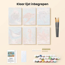 Afbeelding in Gallery-weergave laden, Mini Schilderen op Nummer 15x20cm (6 stuks) - Schatten van de Oceaan