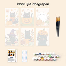 Afbeelding in Gallery-weergave laden, Mini Schilderen op Nummer 15x20cm (6 stuks) - Griezelige kattennacht