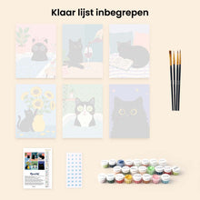 Afbeelding in Gallery-weergave laden, Mini Schilderen op Nummer 15x20cm (6 stuks) - Kattenleven