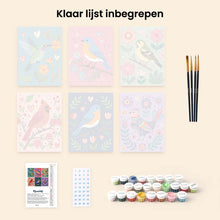 Afbeelding in Gallery-weergave laden, Mini Schilderen op Nummer 15x20cm (6 stuks) - Bloesem en vogelzang