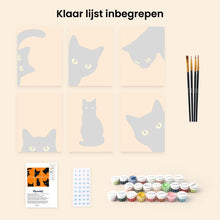 Afbeelding in Gallery-weergave laden, Mini Serie Schilderen op Nummer 15x20cm (6 stuks) - Zwarte Kat Kiekeboe