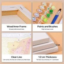 Afbeelding in Gallery-weergave laden, Schilderen op nummer – Set van 6 doeken | Kleurrijke Cocktails