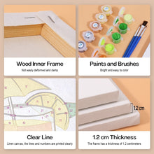 Afbeelding in Gallery-weergave laden, Schilderen op nummer – Set van 6 doeken | Klassieke Cocktails