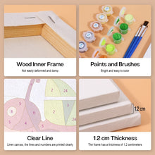 Afbeelding in Gallery-weergave laden, Schilderen op nummer – Set van 6 doeken | Tropische Cocktails