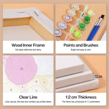 Afbeelding in Gallery-weergave laden, Schilderen op nummer – Set van 6 doeken | Tropische Popdranken