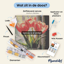 Afbeelding in Gallery-weergave laden, Mini Diamond Painting 25x25 cm - Toscaanse Winternacht