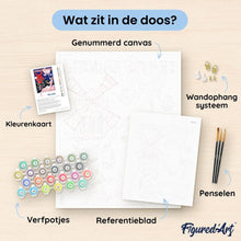 Afbeelding in Gallery-weergave laden, Schilderen op Nummer - Moulin Rouge-affiche - Music Hall