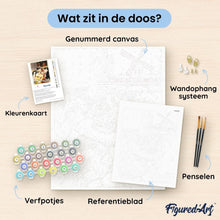 Afbeelding in Gallery-weergave laden, Schilderen op Nummer - Moulin Rouge-affiche - De dame in het geel