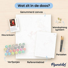 Afbeelding in Gallery-weergave laden, Schilderen op Nummer - Moulin Rouge-affiche - Het is zeer opwindend