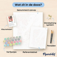 Afbeelding in Gallery-weergave laden, Schilderen op Nummer - Moulin Rouge-affiche - Mistinguett