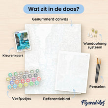 Afbeelding in Gallery-weergave laden, Schilderen op Nummer - Reisposter Sacré-Cœur, Parijs