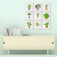 Afbeelding in Gallery-weergave laden, Mini Schilderen op Nummer 15x15cm (9 stuks) - Moderne Vegetale Kunst