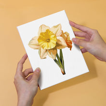 Afbeelding in Gallery-weergave laden, Mini Schilderen op Nummer 15x20cm (6 stuks) - Bloemenreis