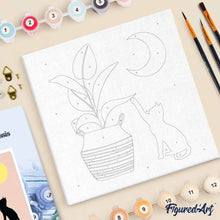 Afbeelding in Gallery-weergave laden, Mini Schilderen op Nummer met Frame - Kitten en planten in het maanlicht
