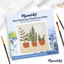 Afbeelding in Gallery-weergave laden, Mini Schilderen op Nummer met Frame - Vetplanten