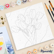 Afbeelding in Gallery-weergave laden, Mini Schilderen op Nummer met Frame - Boeket Tulpen