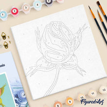 Afbeelding in Gallery-weergave laden, Mini Schilderen op Nummer met Frame - Bloemknop