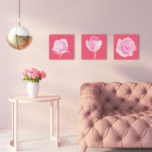 Afbeelding in Gallery-weergave laden, Mini Schilderen op Nummer met Frame - Koraal van Roos 2