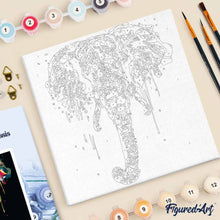 Afbeelding in Gallery-weergave laden, Mini Schilderen op Nummer met Frame - Olifant