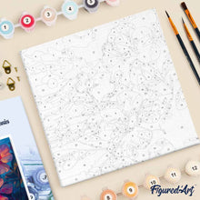 Afbeelding in Gallery-weergave laden, Mini Schilderen op Nummer met Frame - Hibiscus bij zonsondergang