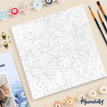 Afbeelding in Gallery-weergave laden, Mini Schilderen op Nummer met Frame - Schoonheid achter Bloemen