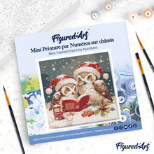Afbeelding in Gallery-weergave laden, Mini Schilderen op Nummer met Frame - Kerstuilen die lezen