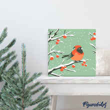 Afbeelding in Gallery-weergave laden, Mini Schilderen op Nummer met Frame - Winter roodborstje