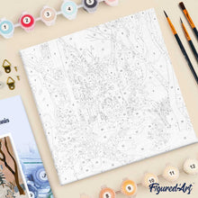 Afbeelding in Gallery-weergave laden, Mini Schilderen op Nummer met Frame - Besneeuwd dorp